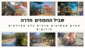 שביל התפוזים חדרה פארק שעשועים מדהים בלב הפרדסים הירוקים