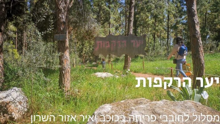 יער הרקפות - יער כוכב יאיר מסלול לחובבי פריחה באזור השרון • Tip Treks