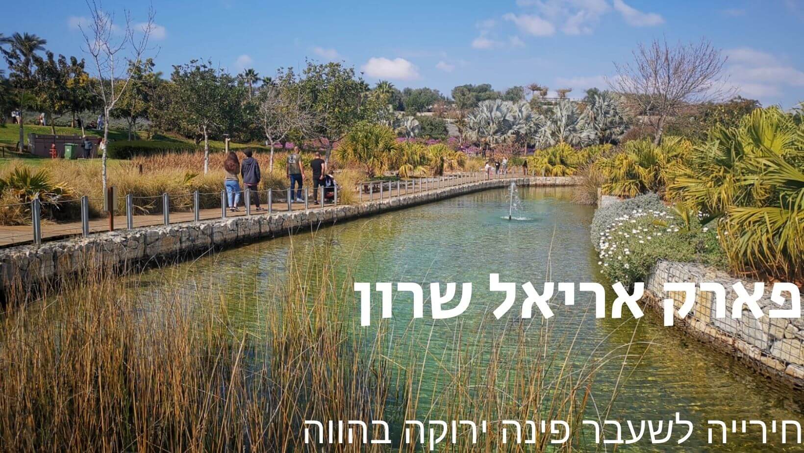 אגמון המשלב צפרות - רשימה שחייבים להכיר בישראל • Tip Treks